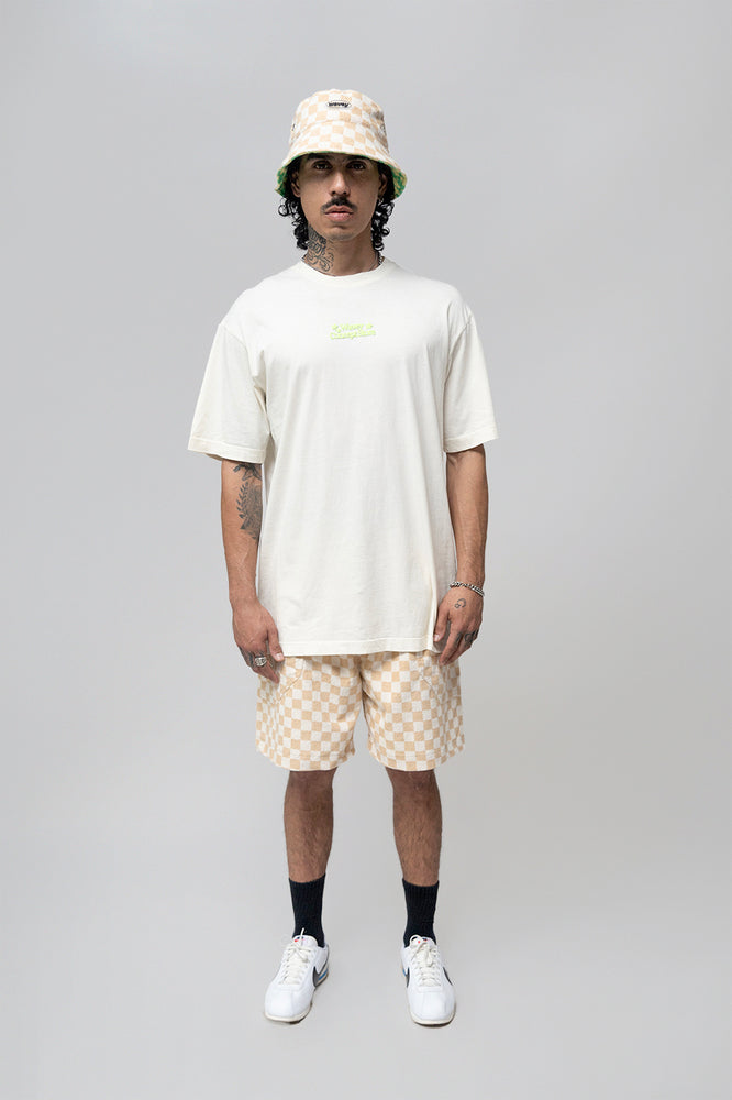 HEALING SYSTEMS T