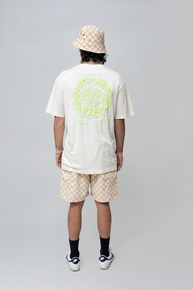
                      
                        HEALING SYSTEMS T
                      
                    